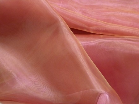 organza 31